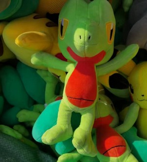 #174 - $38 PLUSHIE (C6-2)
