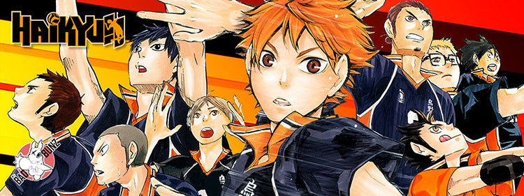 (AN-VOLLEYBALL-01) Anime 800mm x 300mm Gaming Play Mat