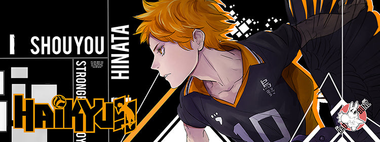 (AN-HYK-02) Haikyuu Anime 800mm x 300mm Gaming Play Mat