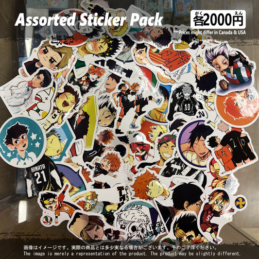(VOLLEYBALL-02STK) Anime Sticker Pack