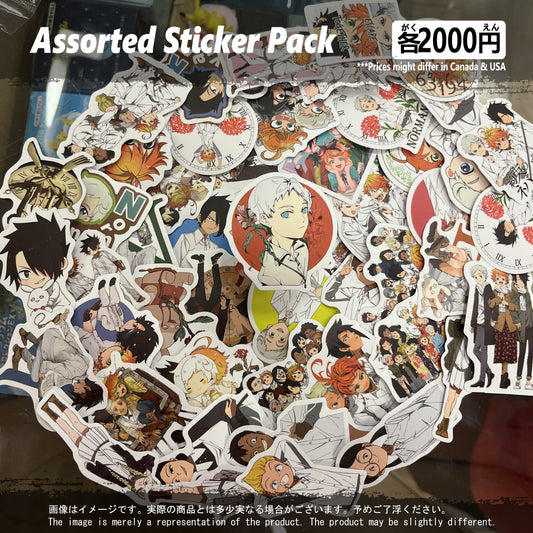 (PNL-01STK) Promised Neverland Anime Sticker Pack