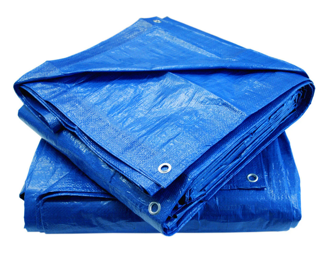 Tarp